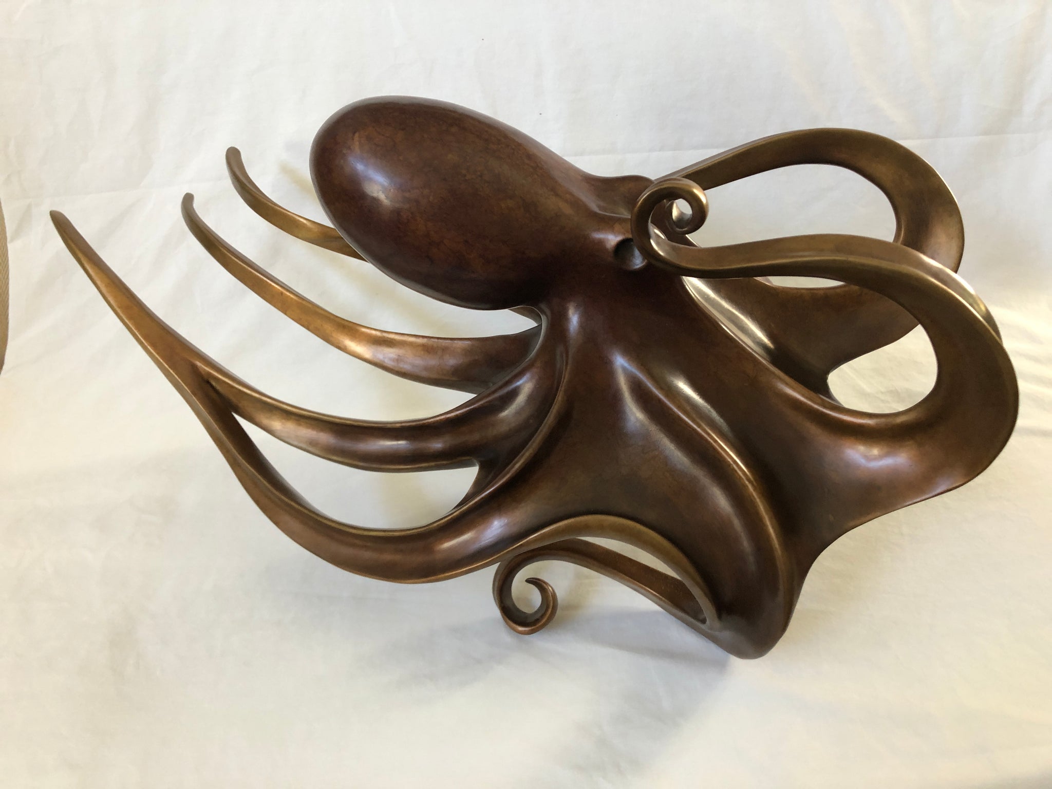 Bronze - Octopus -  HOPE          14"h x 27"w